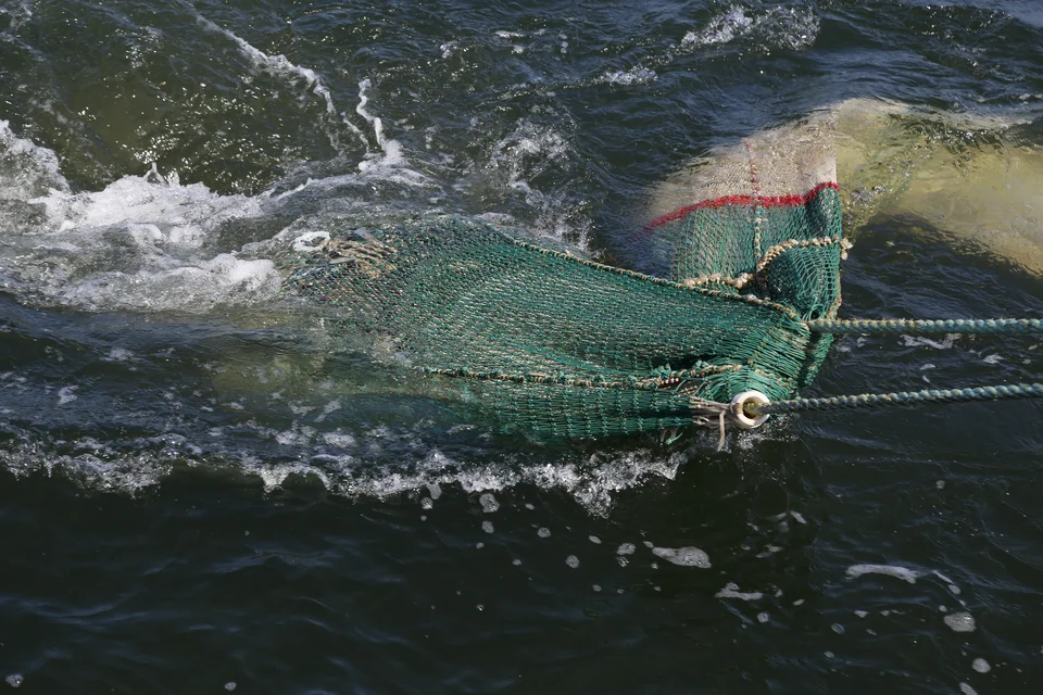 Foto eines Fischernetzes im Wasser